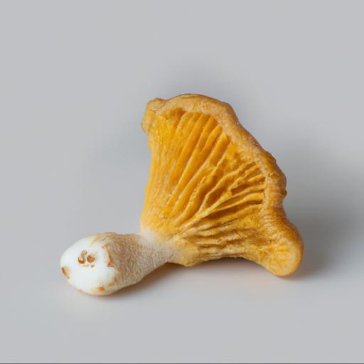 Rozpoznawanie i cechy charakterystyczne grzyba gołąbka złotawego