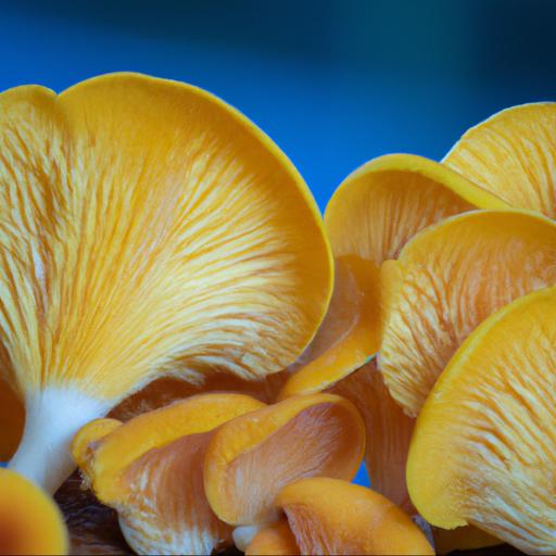 Znaczenie kulinarnych i zdrowotnych grzyba gołąbka jasnożółtego